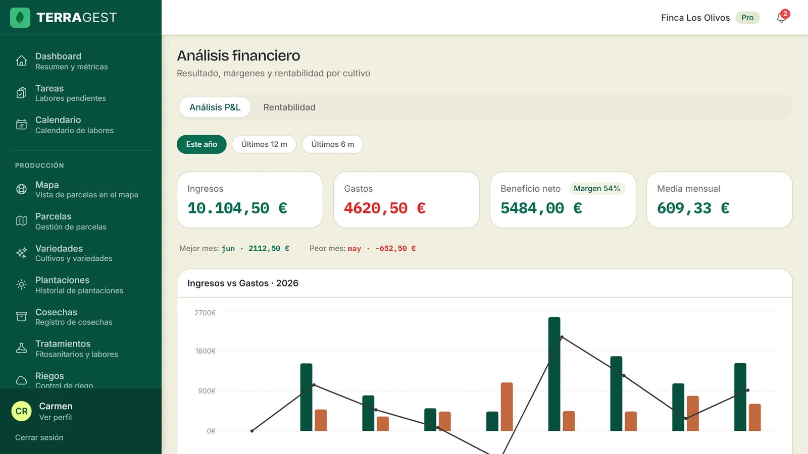 Análisis financiero con ingresos, gastos, beneficio neto y margen del año, y la gráfica mensual de ingresos frente a gastos